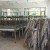 Xuất bàn ghế ăn inox cho trường học ở Hạ Long, Quảng Ninh